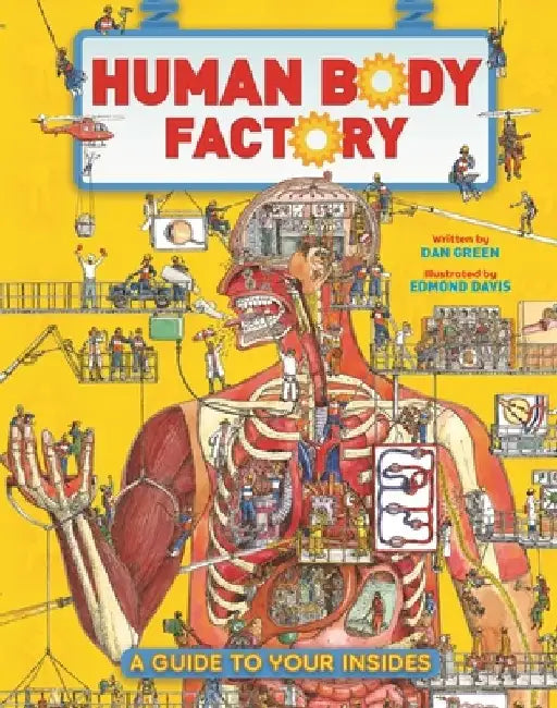 The Human Body Factory: A Guide to Your Insides by Dan Green