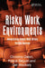 Risky Work Environments: Reappraising Human Work Within Fallible Systems by Pascal Béguin