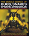 The Deadly World of Bugs, Snakes, Spiders, Crocodiles: And Hundreds of Other Amazing Reptiles and Insects by Barbara Taylor
