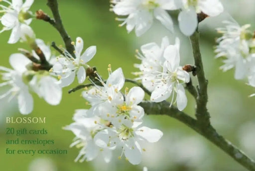 Blossom Gift Card Pack by Anness Punlishing