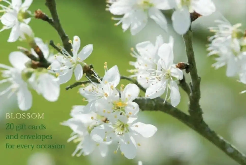 Blossom Gift Card Pack by Anness Punlishing