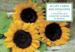Country Flowers in Bloom Gift Cards [With 20 Envelopes] by Peony Press