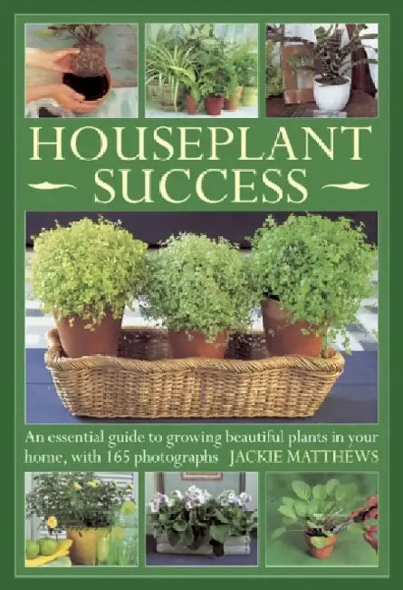 Houseplant Success: An Essential Guide to Growing Beautiful Plants in Your Home, with 165 Photographs by Jackie Matthews