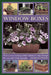 Window Boxes by Jackie Matthews
