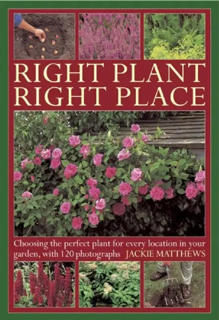 Right Plant Right Place: Choosing the Perfect Plant for Every Location in Your Garden, with 120 Photographs by Jackie Matthews