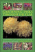 Gardening Tasks Through the Year: A Practical Guide to Year-Round Success in Your Garden, Shown in Over 125 Photographs by Andrew Mikolajski