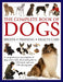 The Complete Book of Dogs: Breeds, Training, Health Care: A Comprehensive Encyclopedia of Dogs with a Fully Illustrated Guide to 230 Breeds and Over 1 by Rosie Pilbeam