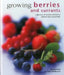 Growing Berries and Currants: A Directory of Varieties and How to Cultivate Them Successfully by Richard Bird