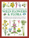 The World Encyclopedia of Wild Flowers & Flora: A Reference and Identification Guide to 1730 of the World's Most Significant Wild Plants by Mick Lavelle