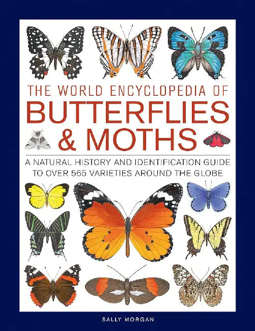 The World Encyclopedia of Butterflies & Moths: A Natural History and Identification Guide to Over 565 Varieties Around the Globe by Sally Morgan