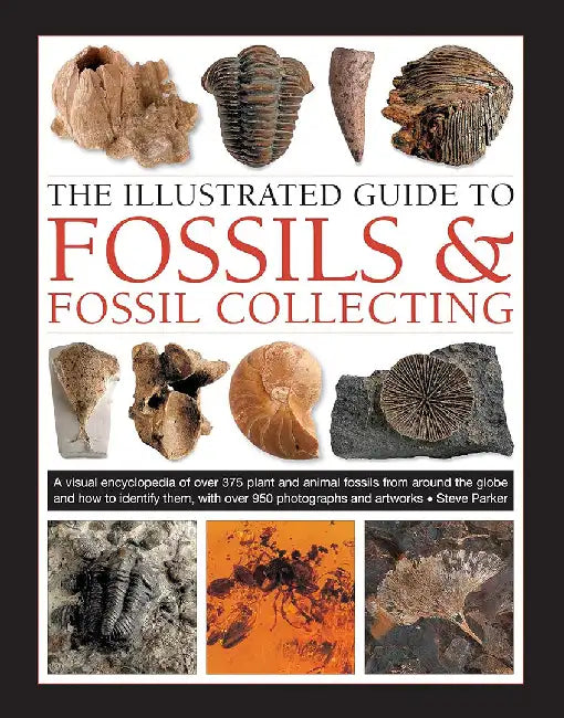 Fossils & Fossil Collecting, the Illustrated Guide to: A Reference Guide to Over 375 Plant and Animal Fossils from Around the Globe and How to Identif by Steve Parker