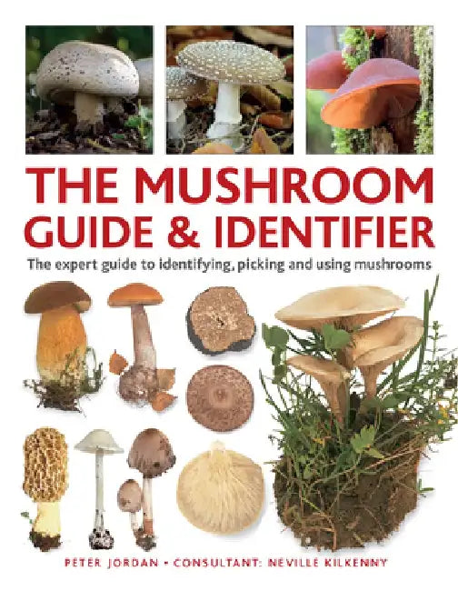 The Mushroom Guide & Identifier: An Expert A-Z to Identifying, Picking and Using Wild Mushrooms by Peter Jordan