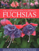 The Complete Guide to Growing Fuchsias: How to Cultivate Fuchsias with Practical Gardening Advice and an Illustrated Directory of 500 Varieties by John Nicholass