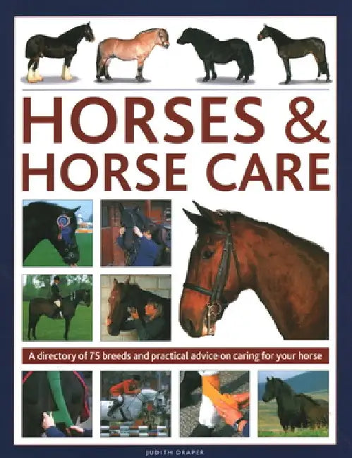 Horses & Horse Care: A Directory of 80 Breeds and Practical Advice on Caring for Your Horse by Sarah Muir