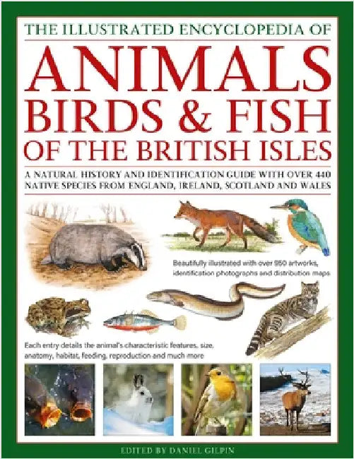 The Animals, Birds & Fish of the British Isles, Illustrated Encyclopedia of: A Natural History and Identification Guide with Over 440 Native Species f by Daniel Gilpin
