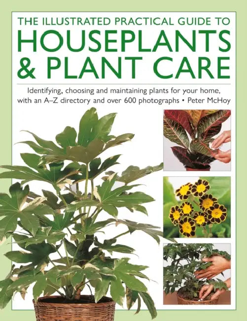 The Houseplants & Plant Care, Illustrated Practical Guide to: Identifying, Choosing and Maintaining Plants for Your Home, with an A-Z Directory and Ov by Peter McHoy