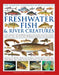The Freshwater Fish and River Creatures, Complete Illustrated World Guide to: A Natural History and Identification Guide to the Aquatic Animal Life of by Daniel Gilpin