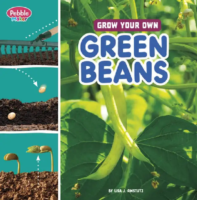 Grow Your Own Green Beans by Lisa J. Amstutz