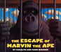 The Escape of Marvin the Ape by Caralyn Buehner, Mark Buehner