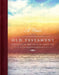 A Year in the Old Testament: Meditations for Each Day of the Church Year by Jeffrey H. Pulse