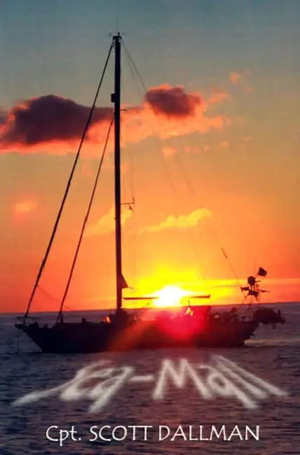 Sea-Mail: The True Story of a Young Couple's Cruise Through the Millennium. by Scott Dallman