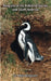 Penguins of the Falkland Islands and South America by Mike Bingham