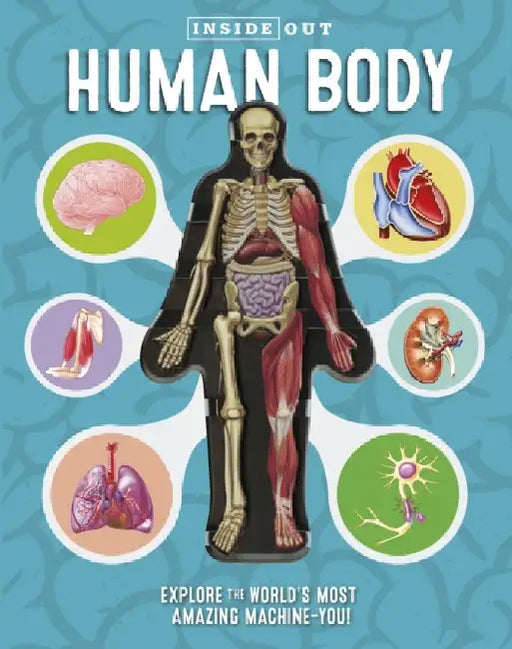 Inside Out Human Body: Explore the World's Most Amazing Machine-You! by Luann Columbo