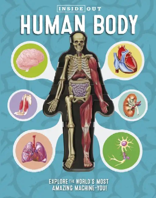 Inside Out Human Body: Explore the World's Most Amazing Machine-You! by Luann Columbo
