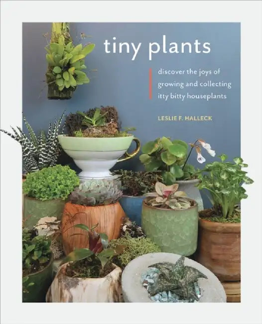 Tiny Plants: Discover the Joys of Growing and Collecting Itty Bitty Houseplants by Leslie F. Halleck