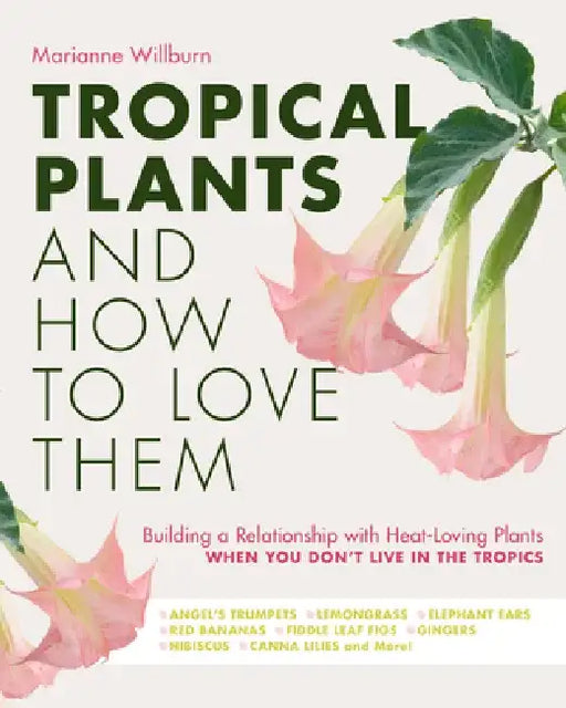 Tropical Plants and How to Love Them: Building a Relationship with Heat-Loving Plants When You Don't Live in the Tropics - Angel's Trumpets - Lemongra by Marianne Willburn