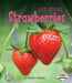 Strawberries by Robin Nelson