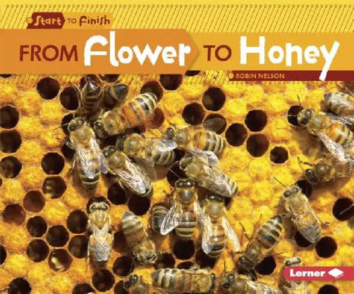 From Flower to Honey by Robin Nelson