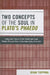 Two Concepts of the Soul in Plato's Phaedo: A Beginner's Guide to the Phaedo and Some Related Platonic Texts on the Immortality of the Soul by Ryan Topping