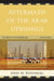 Aftermath of the Arab Uprisings: The Rebirth of the Middle East by Jerry M. Rosenberg