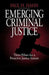 Emerging Criminal Justice: Three Pillars for a Proactive Justice System by Paul H. Hahn