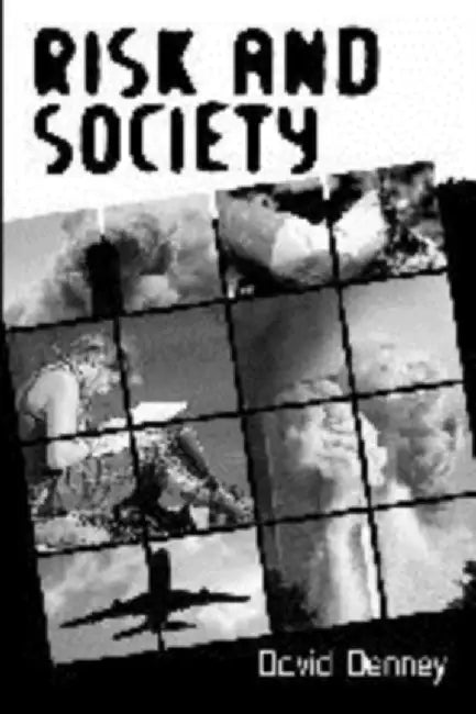 Risk and Society by Denney