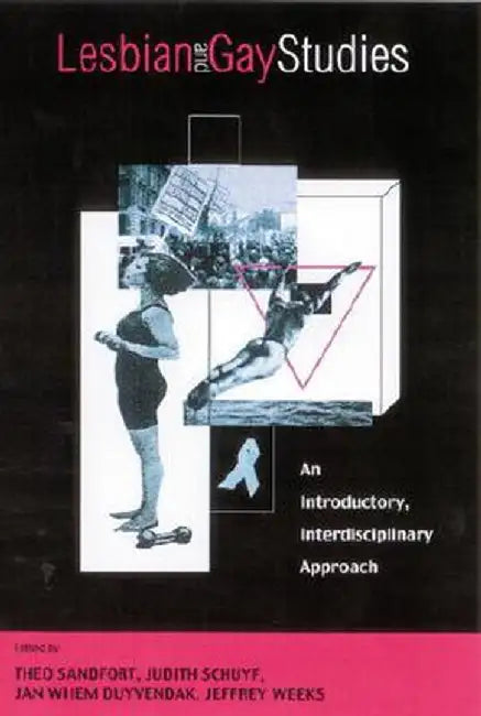 Lesbian and Gay Studies: An Introductory, Interdisciplinary Approach by Theo