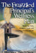 The Frazzled Principal's Wellness Plan: Reclaiming Time, Managing Stress, and Creating a Healthy Lifestyle by J. Allen Queen, Patsy S. Queen
