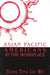 Asian Pacific Americans in the Workplace by Diana Ting Liu Wu