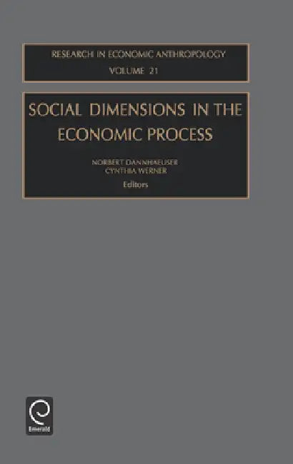 Social Dimensions in the Economic Process by Norbert Dannhaeuser, Cynthia Werner