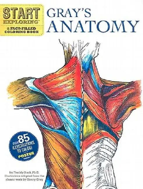 Gray's Anatomy: A Fact-Filled Coloring Book [With Poster] by Freddy Stark