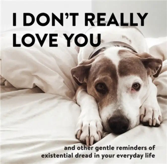 I Don't Really Love You: And Other Gentle Reminders of Existential Dread in Your Everyday Life by Alex Beyer