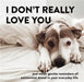 I Don't Really Love You: And Other Gentle Reminders of Existential Dread in Your Everyday Life by Alex Beyer