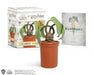 Harry Potter Screaming Mandrake: With Sound! by Donald Lemke