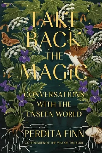 Take Back the Magic: Conversations with the Unseen World by Perdita Finn