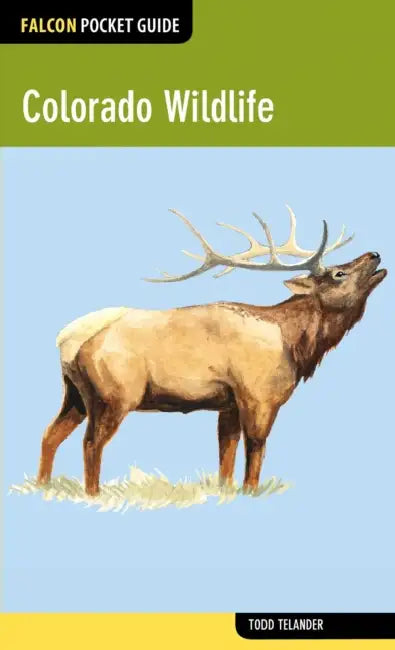 Colorado Wildlife by Todd Telander