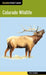 Colorado Wildlife by Todd Telander