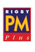 Rigby PM Plus: Individual Student Edition Yellow (Levels 6-8) Kitty Cat Plays Inside by Rigby