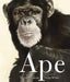 Ape by Martin Jenkins