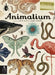 Animalium: Welcome to the Museum by Jenny Broom